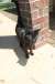 resIMG_20110417_5443.JPG